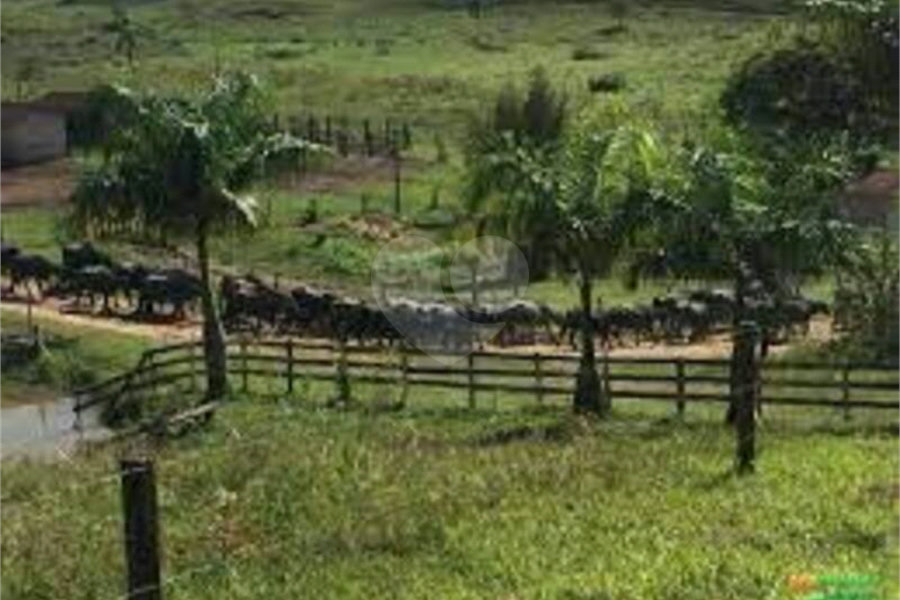 Fazenda à venda no Centro, Sete Barras, SP