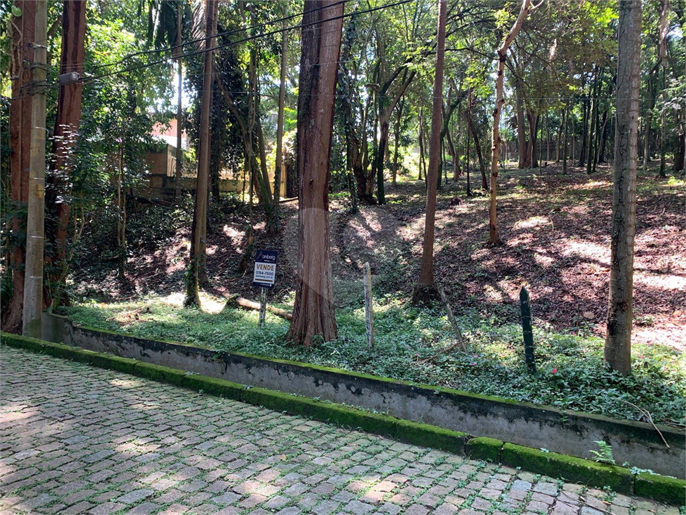 Terreno à venda no condomínio Chácara Flora, São Paulo - SP