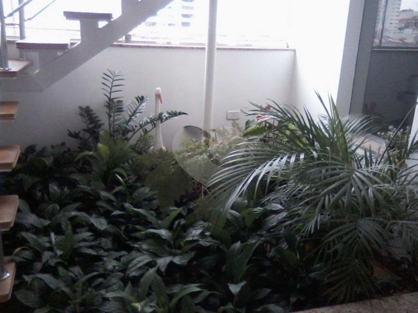 Casa Térrea à venda com 4 quartos, sendo 2 suítes, em Vila Mazzei, São Paulo, SP