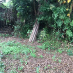 Terreno à venda em Horto Florestal, São Paulo, SP