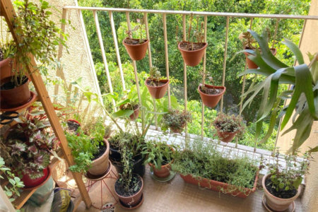 Apartamento à venda com 3 quartos em Santa Cecília, São Paulo, SP