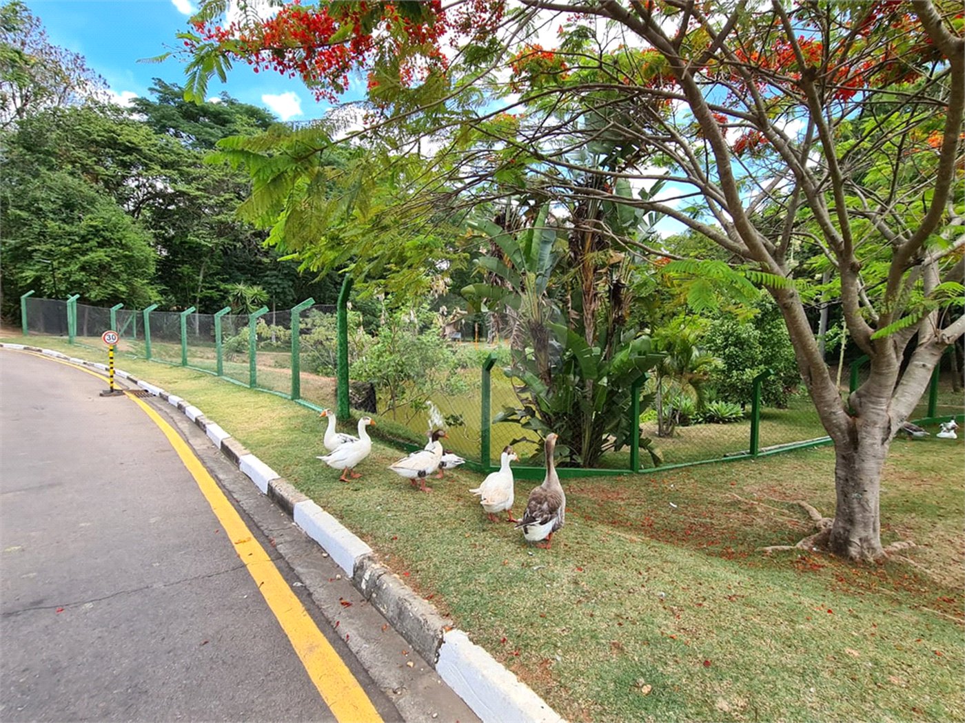 Casa à venda com 3 suítes no condomínio Terras de São Francisco, Vinhedo - SP