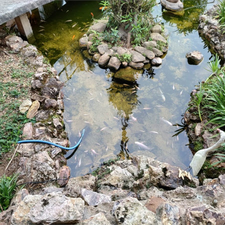 Chácara à venda com 3 quartos, sendo 1 suíte, em Bairro do Machadinho, Angatuba, SP