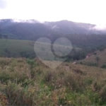 Sítio à venda no Centro, Monte Sião, MG