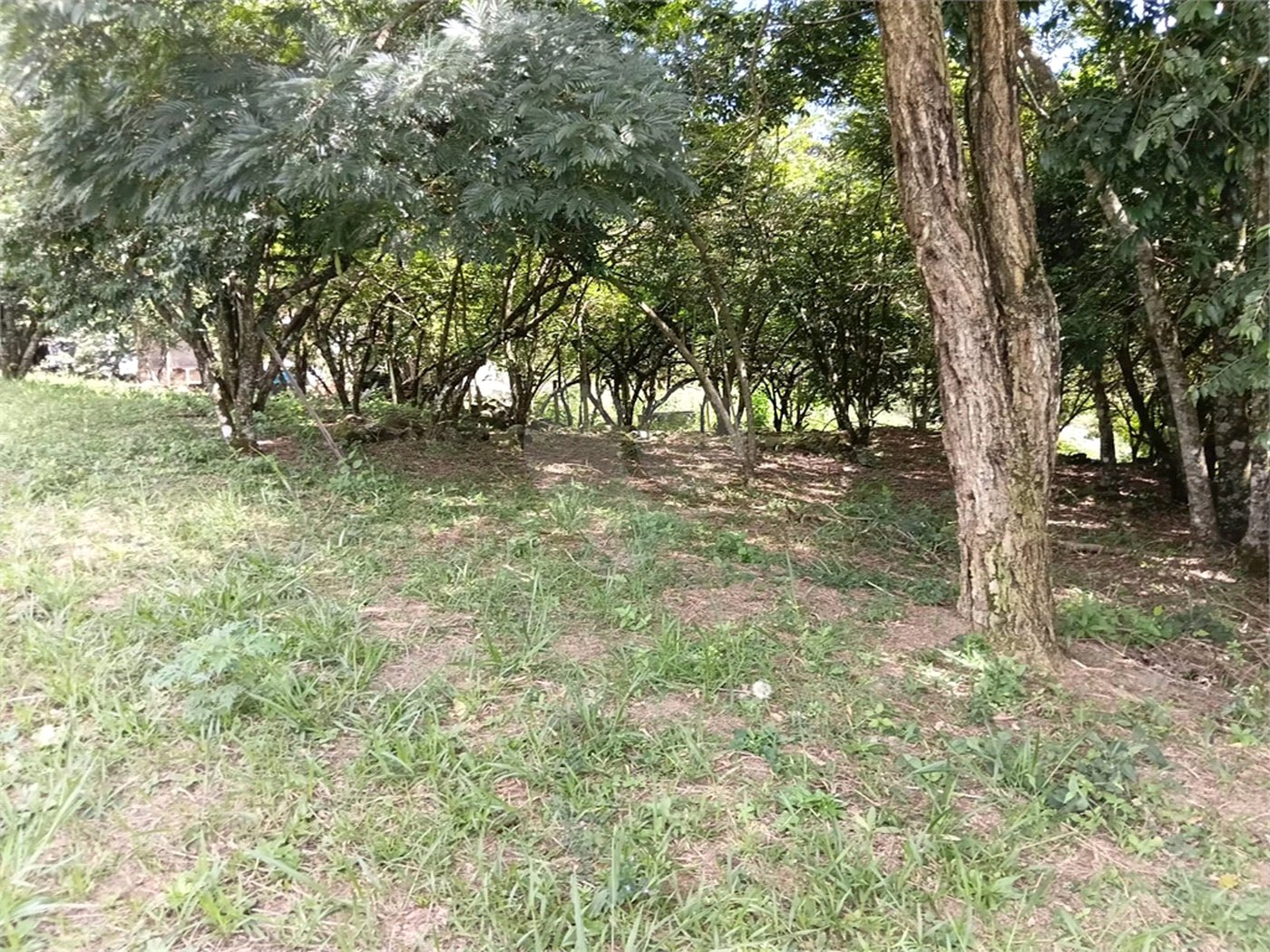 Terreno à venda em Planalto Verde, São Roque, SP
