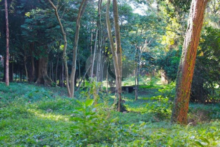 Terreno à venda no condomínio Chácara Flora, São Paulo - SP