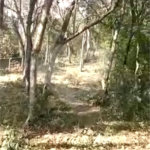 Terreno à venda em Luiz Fagundes, Mairiporã, SP