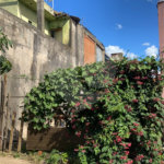 Terreno plano, no bairro Parque Sisi, com 125,00 m² de área.