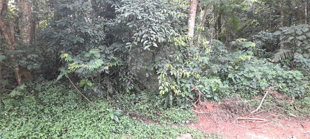 Terreno à venda em Roseira, Mairiporã, SP