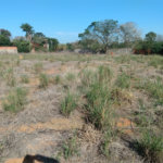 Terreno à venda em Jardim Colombo, Itapetininga, SP