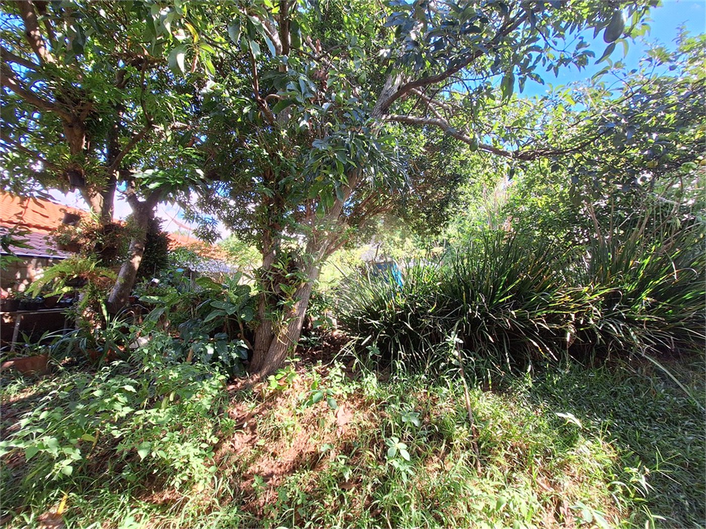 Casa à venda com 4 quartos, sendo 1 suíte, em Santa Cândida, Vinhedo, SP