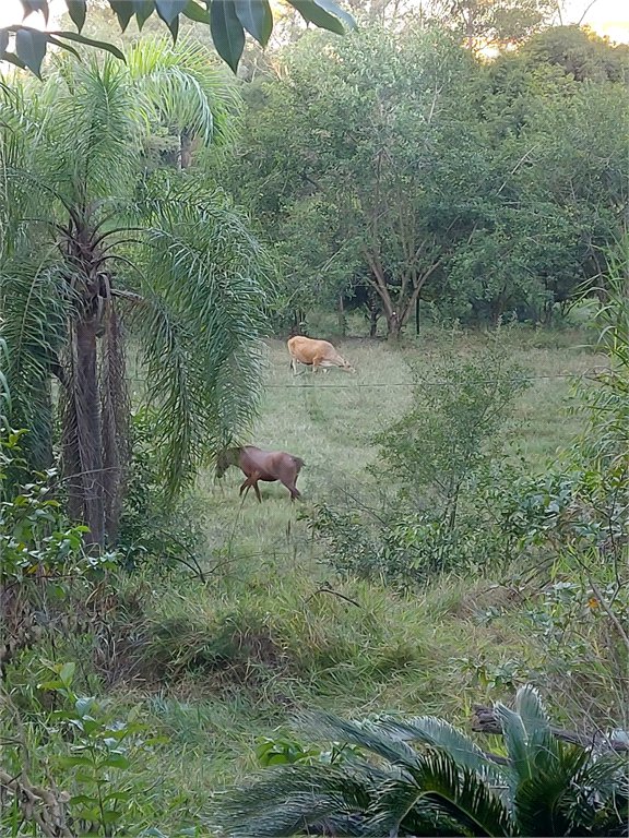 Área de Terra à venda em Éden, Sorocaba, SP