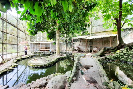 Casa à venda com 11 quartos, sendo 6 suítes, em Taquara, Rio de Janeiro, RJ