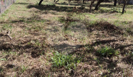 Terreno à venda em Loteamento Aracê de Santo Antonio II, São Carlos, SP