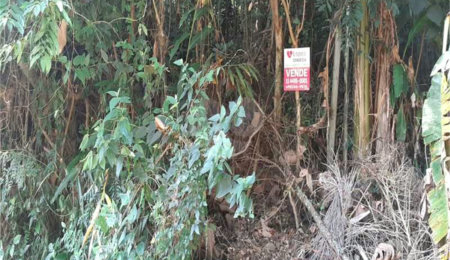Terreno à venda em Serra da Cantareira, Mairiporã, SP