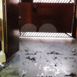 Sobrado à venda com 2 quartos, sendo 1 suíte, em Vila Medeiros, São Paulo, SP