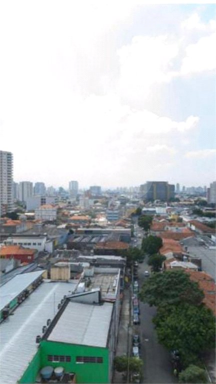 Apartamento à venda com 4 quartos, sendo 1 suíte, em Cambuci, São Paulo, SP