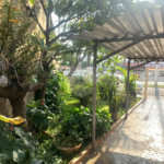 Terreno à venda em Limão, São Paulo, SP