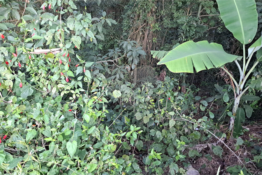 Terreno à venda no condomínio Residencial Bosque da Serra, Mairiporã - SP