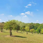Terreno à venda no condomínio Jardim Reserva Bom Viver de Indaiatuba, Indaiatuba - SP