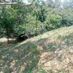 Terreno à venda em Observatório, Vinhedo, SP