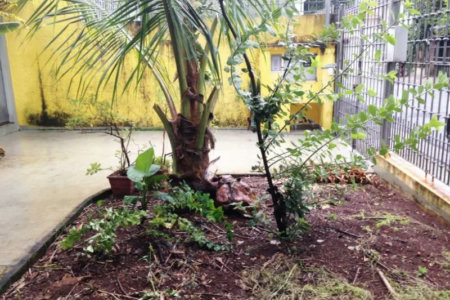 Casa Térrea à venda com 3 quartos, sendo 1 suíte, em Vila Cordeiro, São Paulo, SP