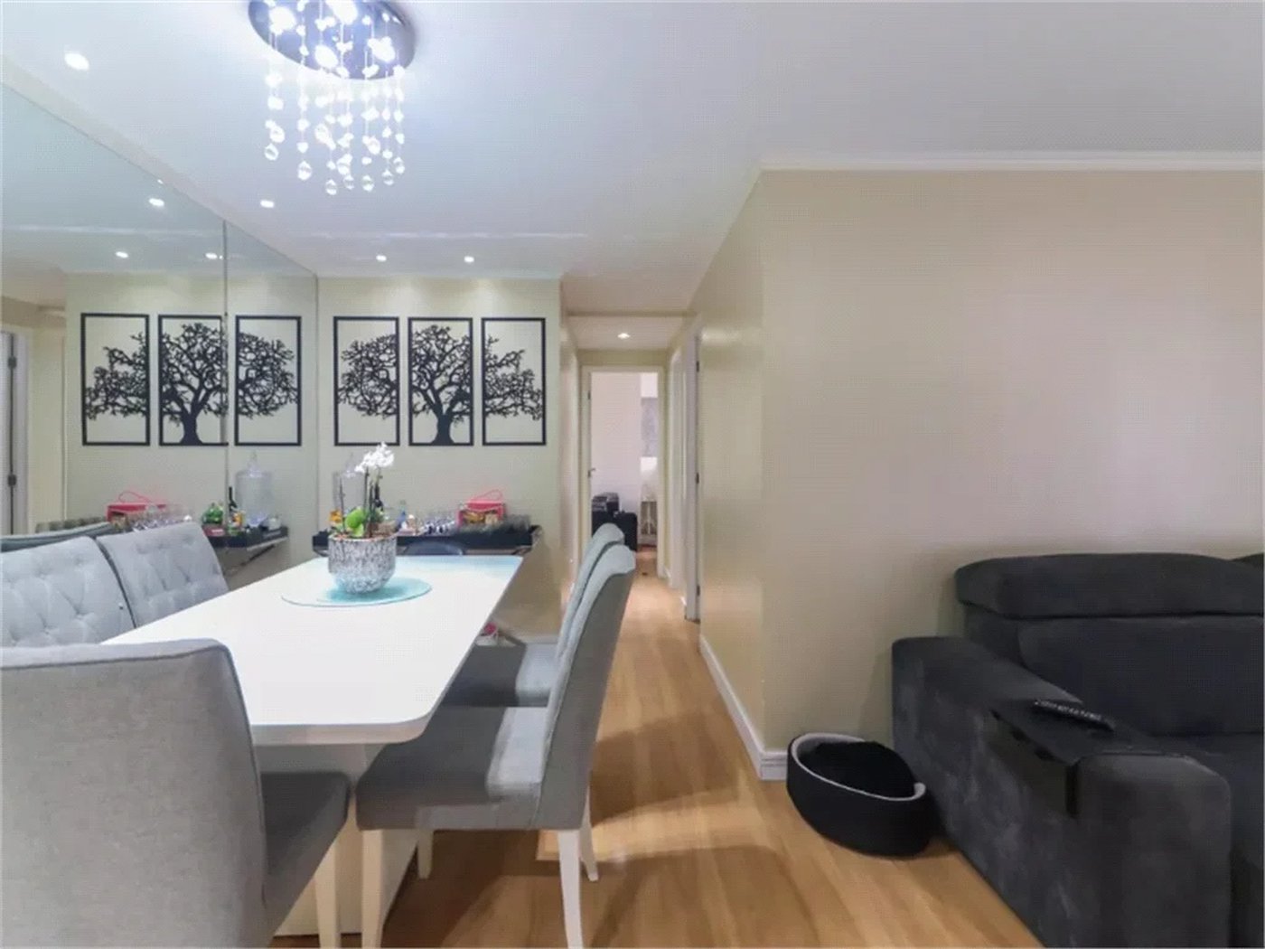 Apartamento à venda com 3 quartos, sendo 1 suíte,  em Vila Polopoli, São Paulo, SP