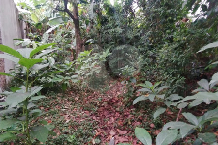 Terreno à venda em Vila Carmosina, São Paulo, SP