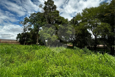 Terreno à venda em Jardim Aeroporto, Ponta Porã, MS