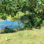 Sítio à venda com 2 quartos em Área Rural de Lagoinha, Lagoinha, SP