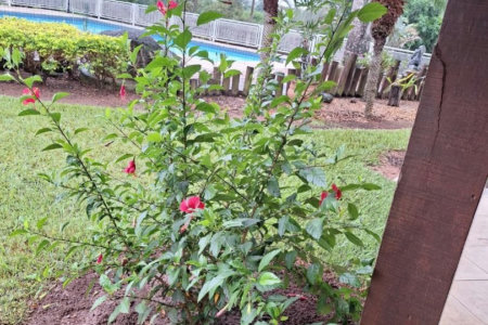 Rancho com 12 dormitórios à venda, 63000 m² por R$ 7.500.000,00 - Condomínio Haras Paineiras - Salto/SP