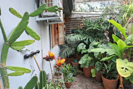 Casa para alugar com 1 quarto em Vila Leopoldina, São Paulo, SP