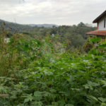 Terreno à venda em Barro Branco (zona Norte), São Paulo, SP