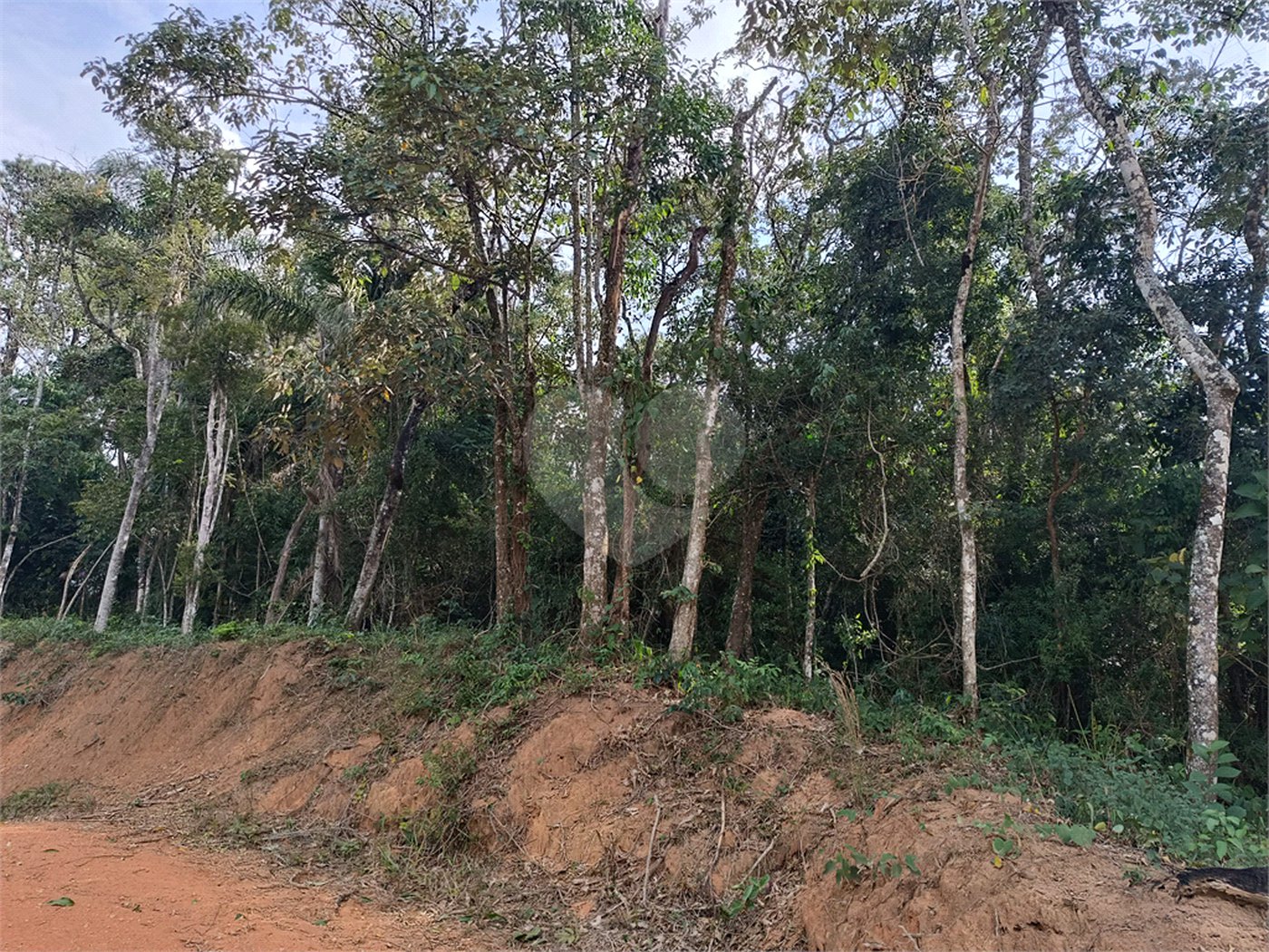 Terreno à venda no condomínio Residencial Sitio da Hortensias, São Roque - SP