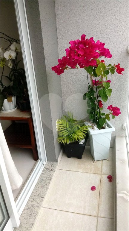 Apartamento à venda com 2 quartos, sendo 1 suíte, em Casa Verde, São Paulo, SP