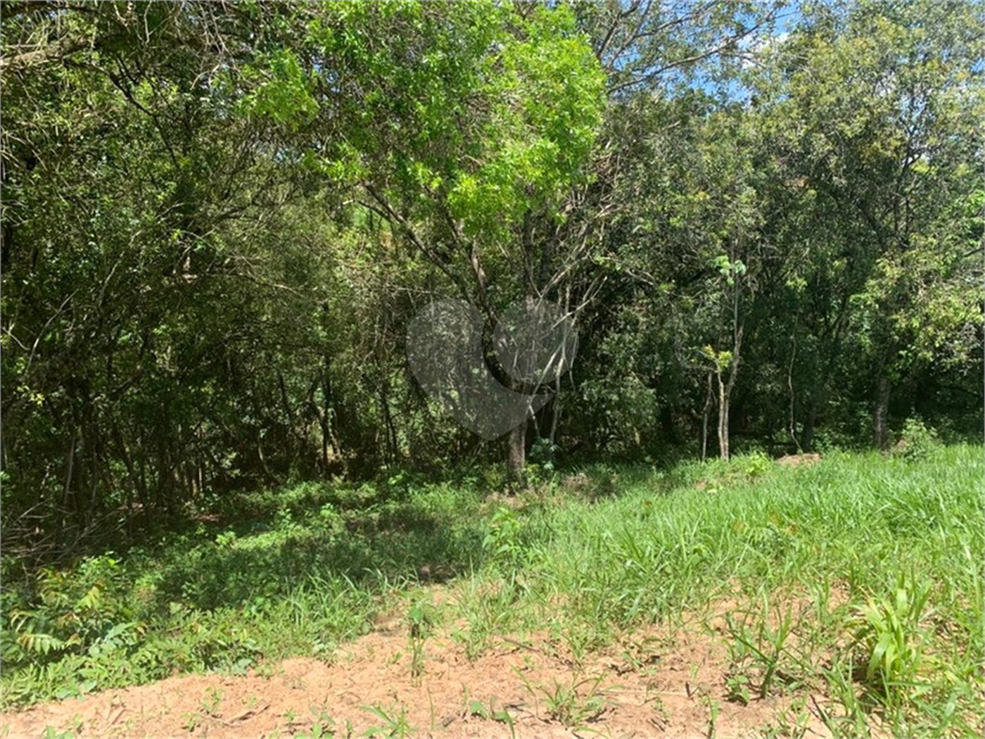 Área de Terra à venda em Cristóvão, Araçoiaba da Serra, SP