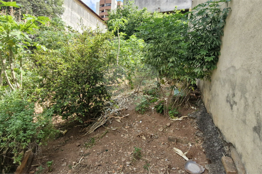 Casa Térrea à venda com 2 quartos em Vila Pereira Barreto, São Paulo, SP