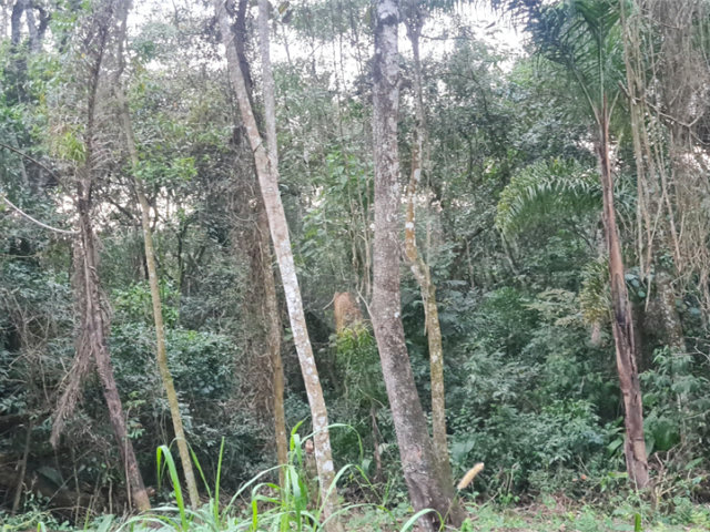Condomínio à venda em Serra da Cantareira, Mairiporã, SP