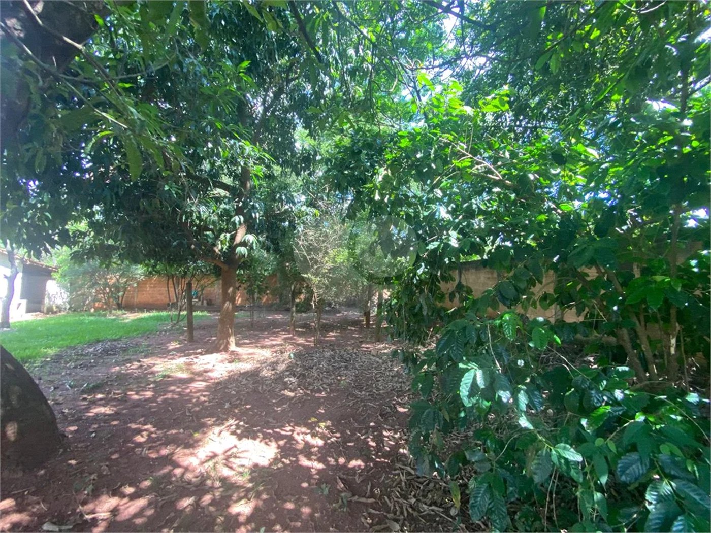 Chácara à venda com 1 quarto em Chácara Flora Araraquara, Araraquara, SP