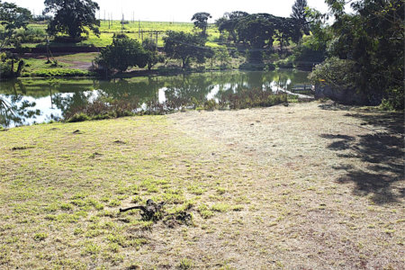 Terreno à venda no condomínio Garden Villa Rp, Ribeirão Preto - SP