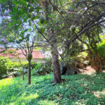 Casa Térrea à venda com 3 quartos, sendo 1 suíte, em Jardim Floresta, São Paulo, SP