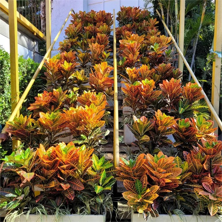 Sobrado para alugar com 5 quartos, sendo 4 suítes, em Jardim Everest, São Paulo, SP