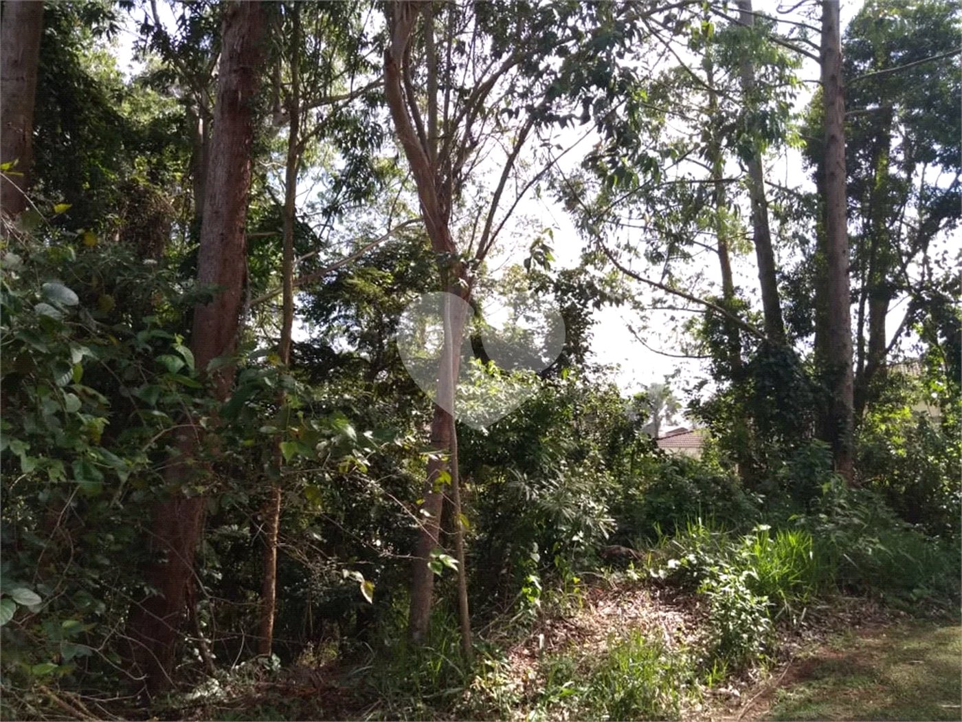 Terreno à venda no condomínio Suíça da Cantareira, Mairiporã - SP