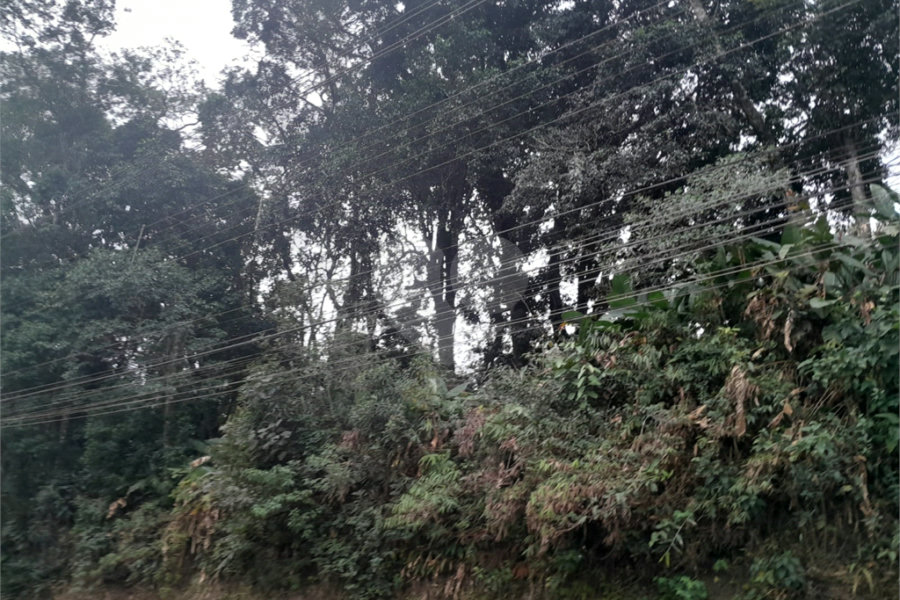 Terreno à venda em Serra da Cantareira, Mairiporã, SP