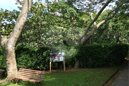 Terreno à venda em Paraisópolis, São Paulo, SP