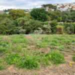 Terreno à venda em Bosque, Vinhedo, SP