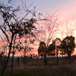 Chácara à venda com 4 quartos, sendo 1 suíte, em Zona Rural, Porangaba, SP