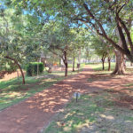 Apartamento à venda com 2 quartos em Reserva Sul Condomínio Resort, Ribeirão Preto, SP