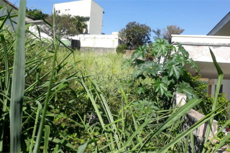 Terreno à venda em Jardim São Bento, São Paulo, SP