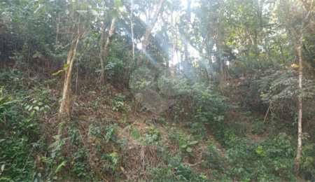 Terreno à venda em Serra da Cantareira, Mairiporã, SP